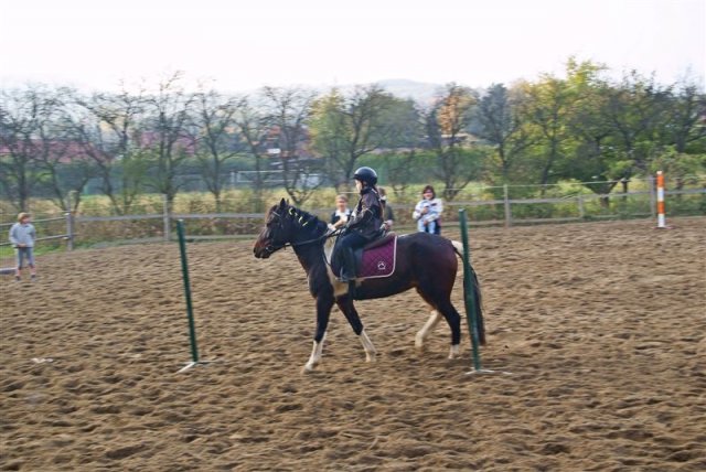 Hubertus 2009